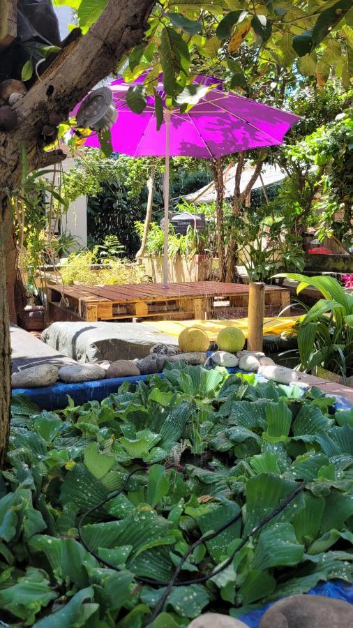Laughing Buddha Guest House & Villa Catmandu Exterior foto